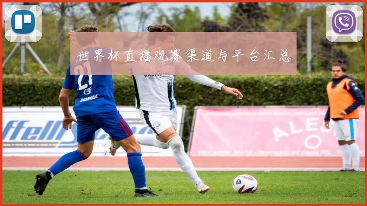 世界杯直播观赛渠道与平台汇总