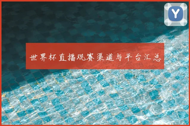 世界杯直播观赛渠道与平台汇总