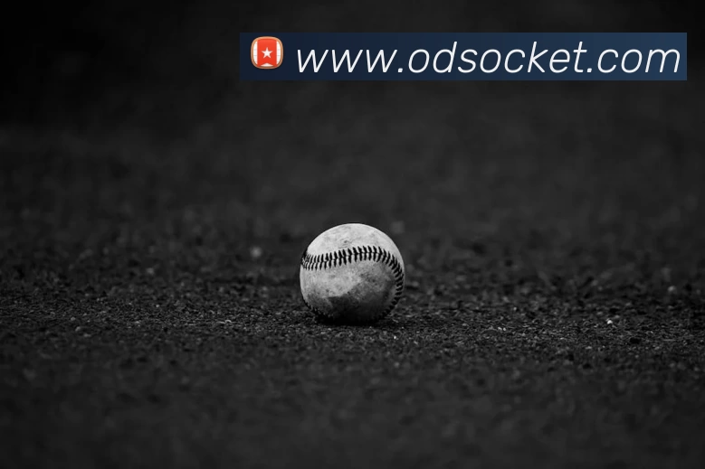 世界杯指定官网服务体系